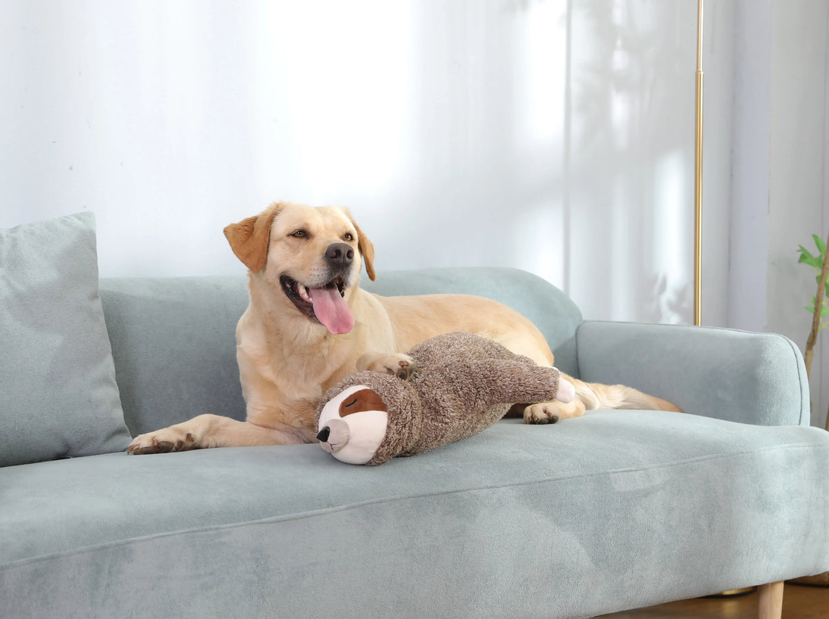 Juguete Peluche Perezoso Calmante con Latidos de Corazón para Perros y Cachorros | Alivio de Estrés, Ayuda para Dormir y Entrenamiento en Huacal (Regalo de Navidad)